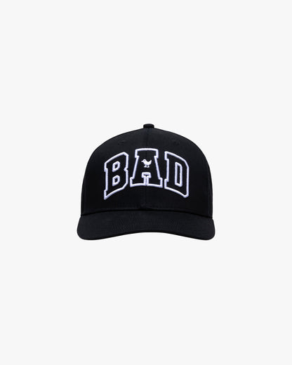 Bad Birdie Men's Varsity Bad Hat - Black