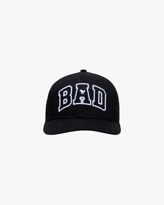 Bad Birdie Men's Varsity Bad Hat - Black