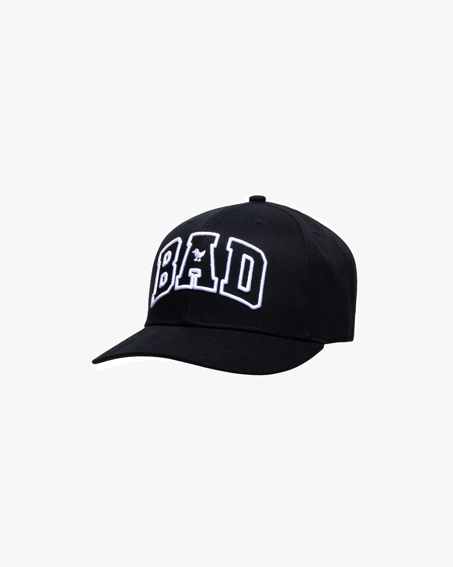 Bad Birdie Men's Varsity Bad Hat - Black