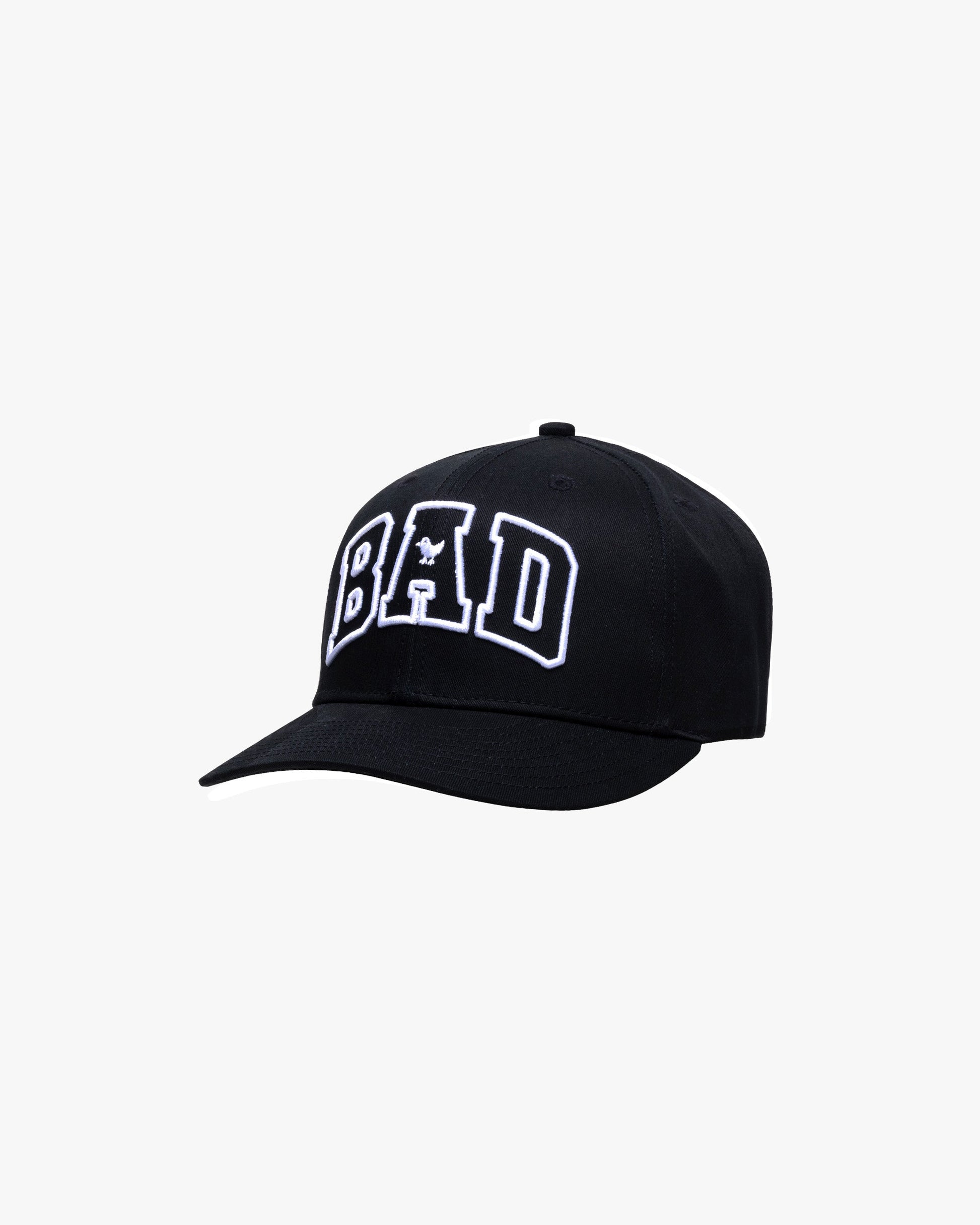 Bad Birdie Men's Varsity Bad Hat - Black