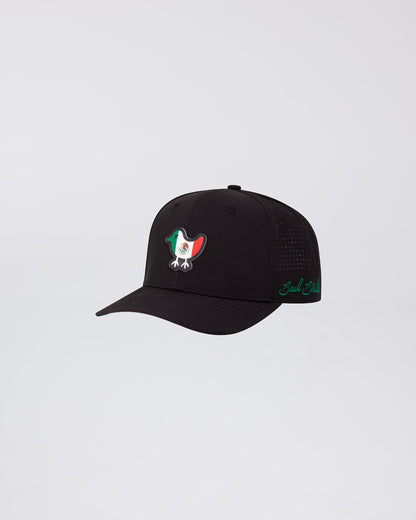 Bad Birdie Birdie Snapback - Team Mexico