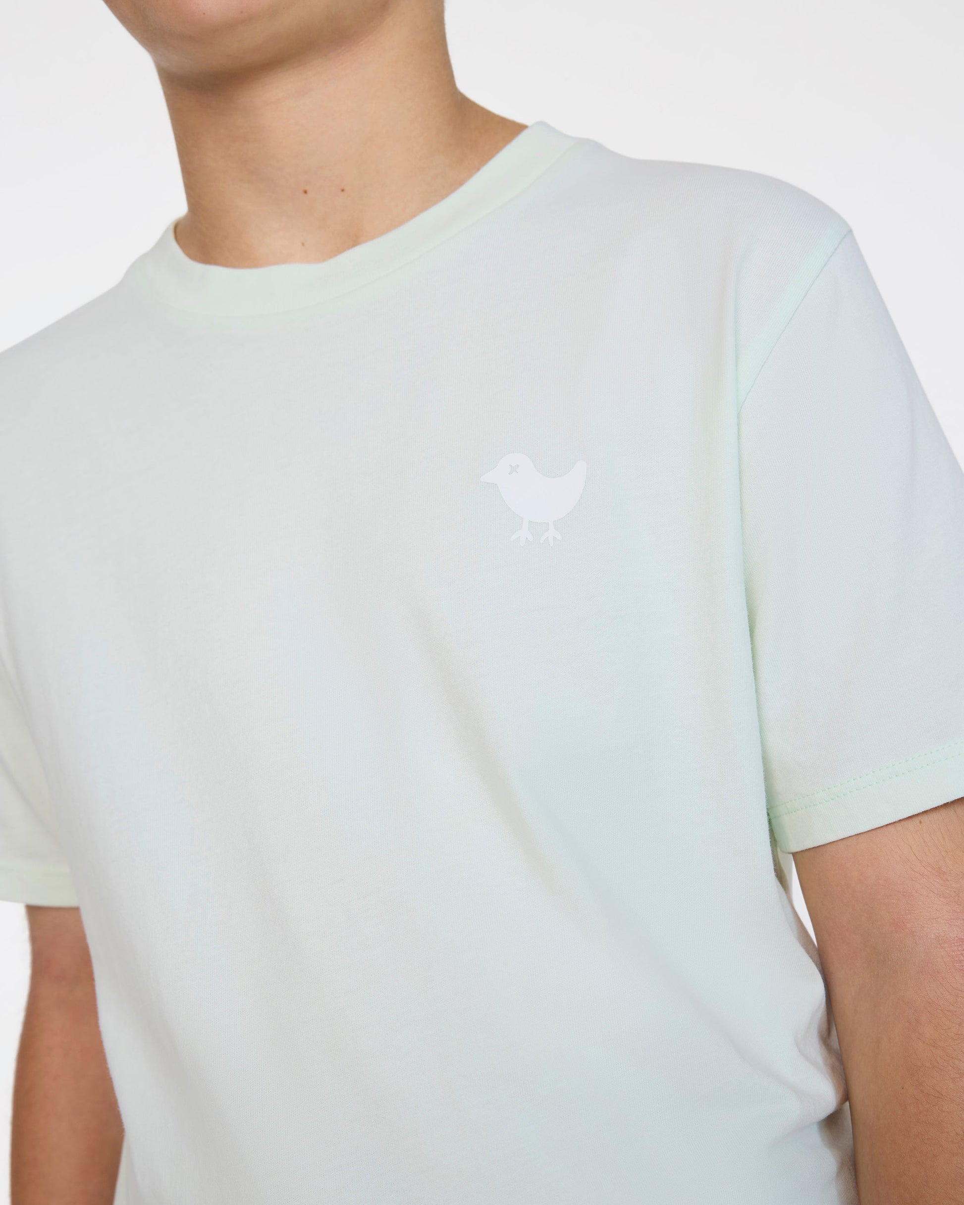 Bad Birdie Youth Bad Tee - Pale Blue